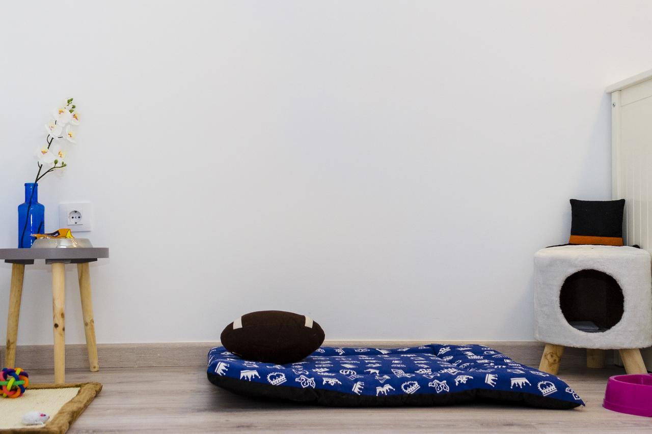 Apartup Viveros Pets Valencia Exterior photo
